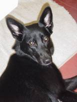 Lola 3