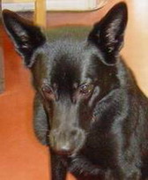 Lola 4