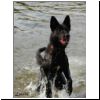 Lola_fliegt_05.jpg