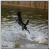 Lola_fliegt_08.jpg
