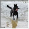 Lola_fliegt_11.jpg