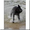 Lola_fliegt_17.jpg