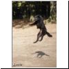 Lola_fliegt_24.jpg